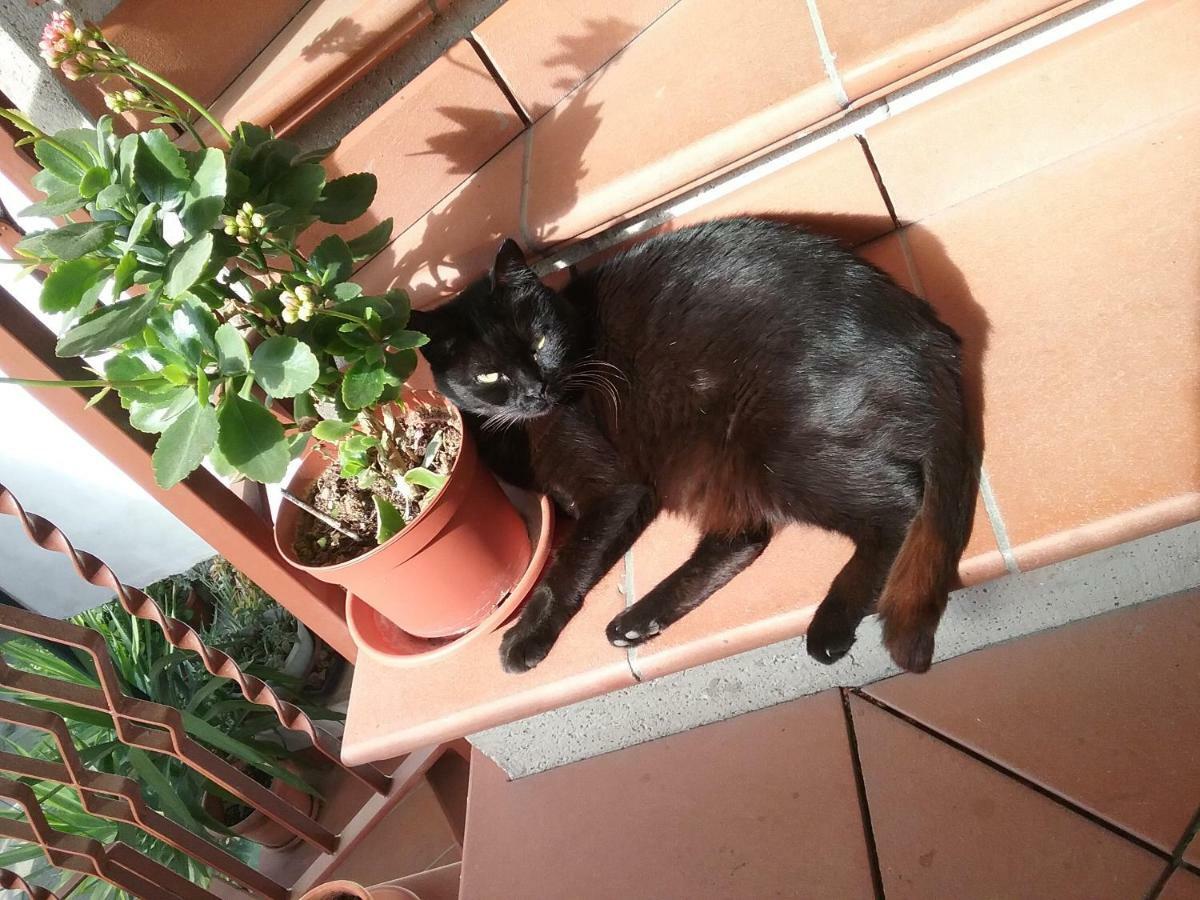 Appartamento Relax Terni Dış mekan fotoğraf